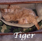 Tiger Myer. 2000-2015